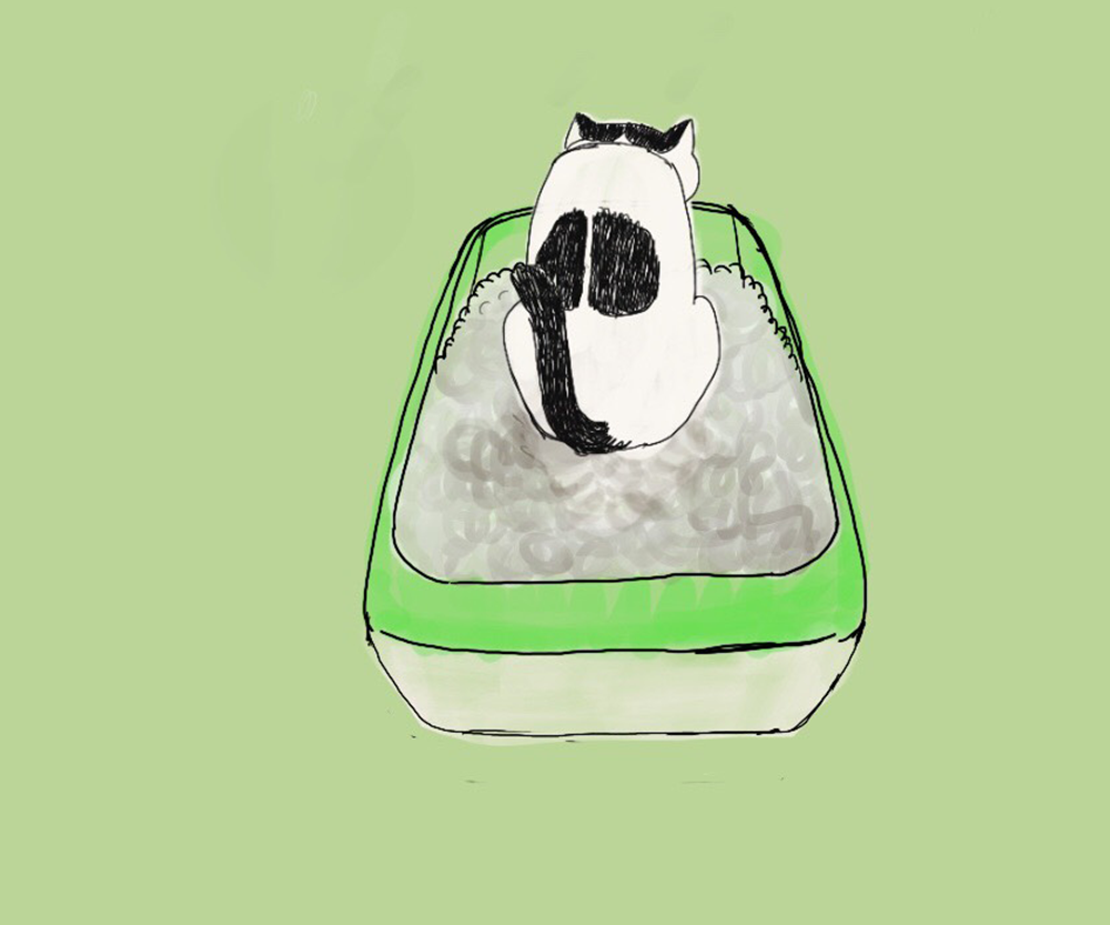 ソラのトイレ事情