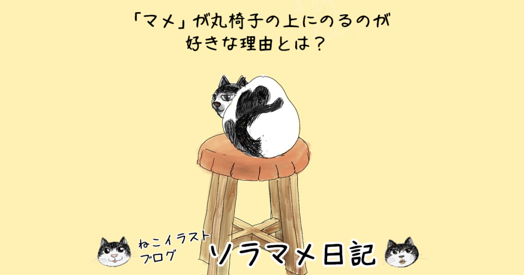 お気に入りの場所（マメその１）