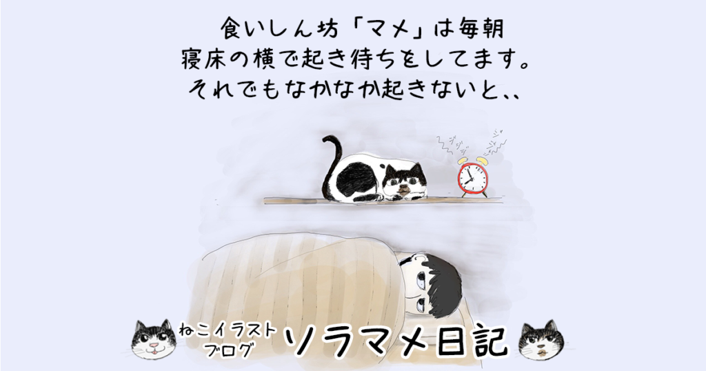 食いしん坊マメ、朝のルーティン